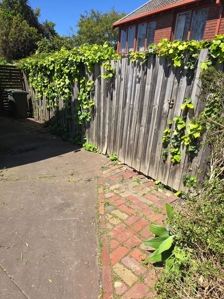 Cleared side path after real estate rubbish removal in Melbourne
