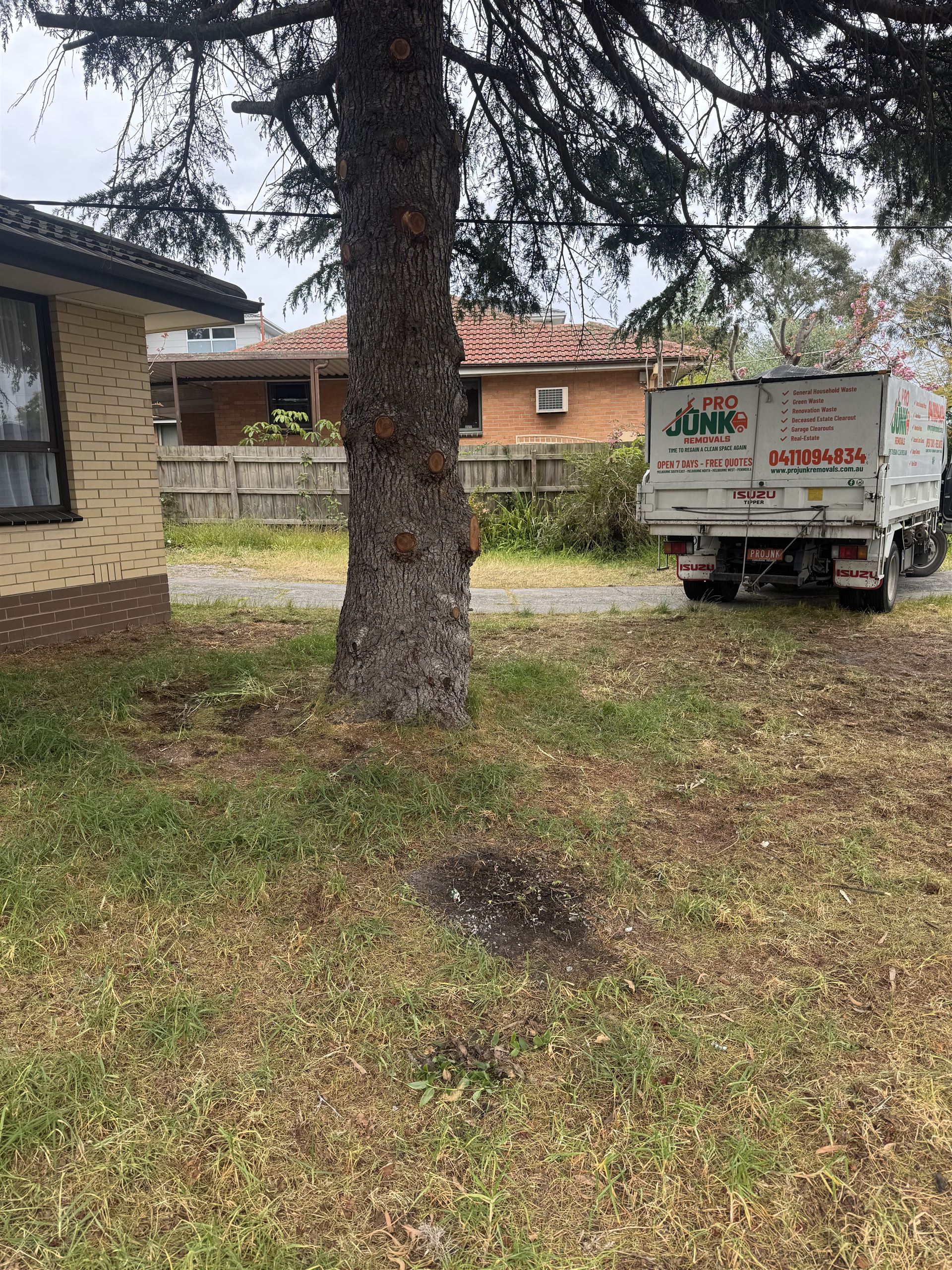 Yard fully cleared